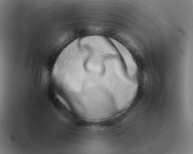 X0000116840598200912312056