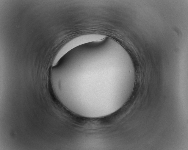 X0000116840599200912312056