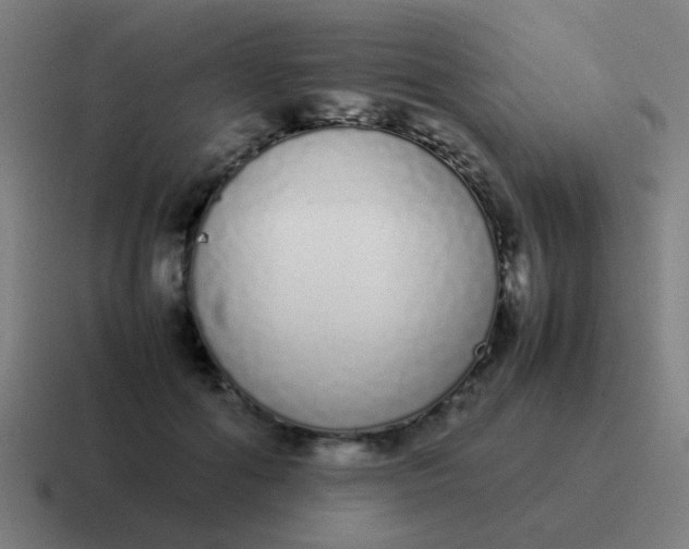 X0000116840602200912312056