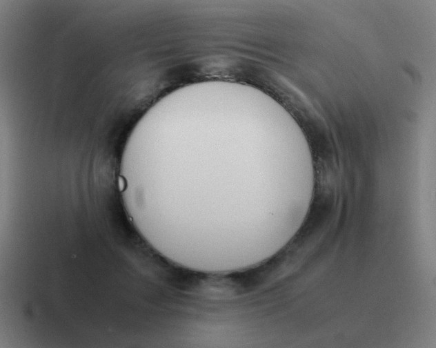 X0000116840603200912312056