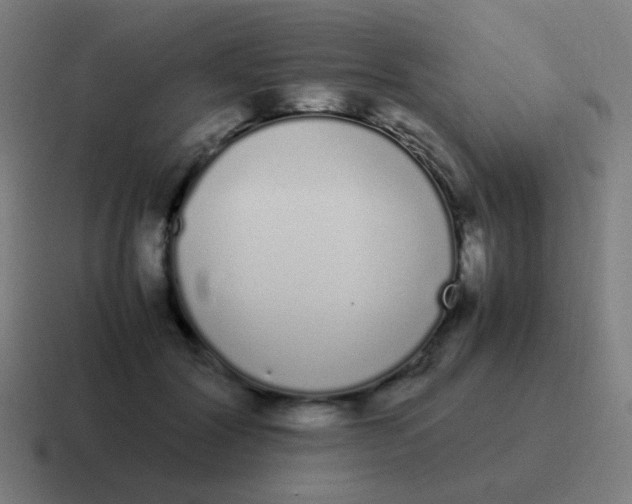 X0000116840604200912312056