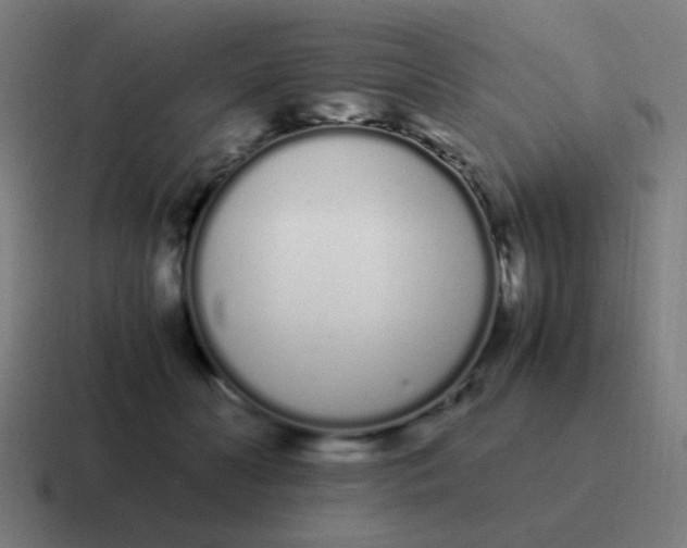 X0000116840606200912312056