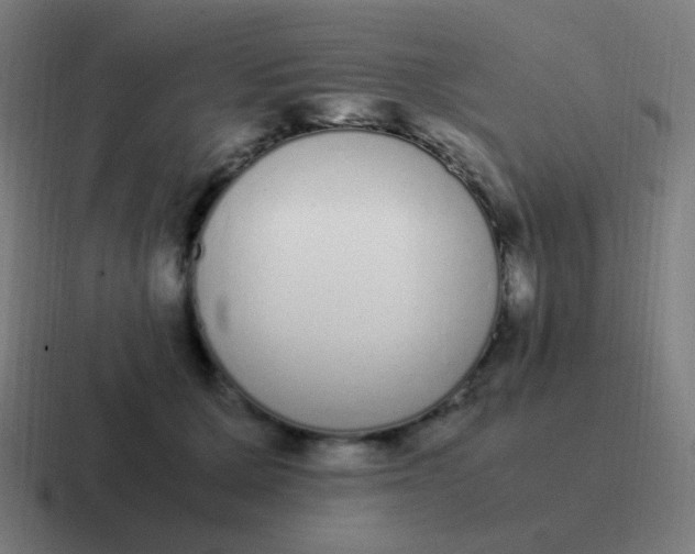 X0000116840607200912312056