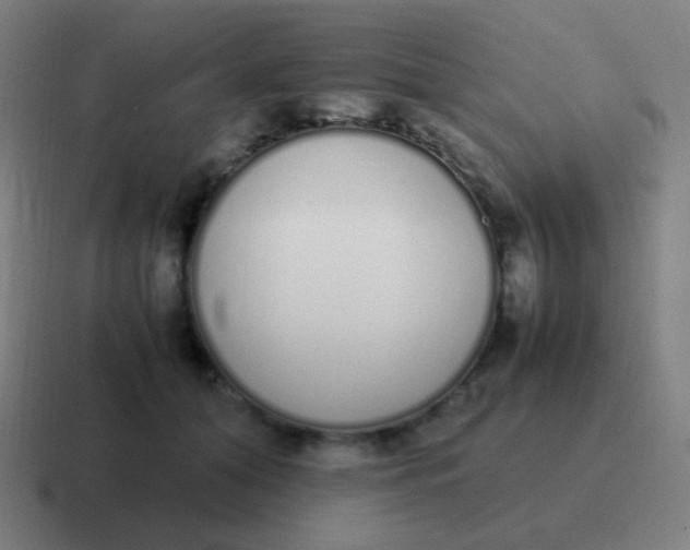 X0000116840608200912312056