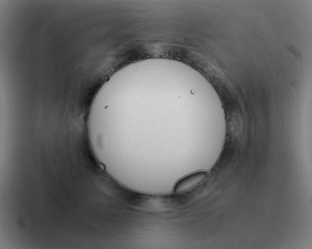 X0000116840611200912312056