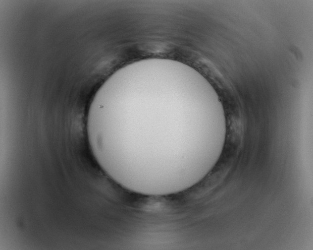 X0000116840612200912312056