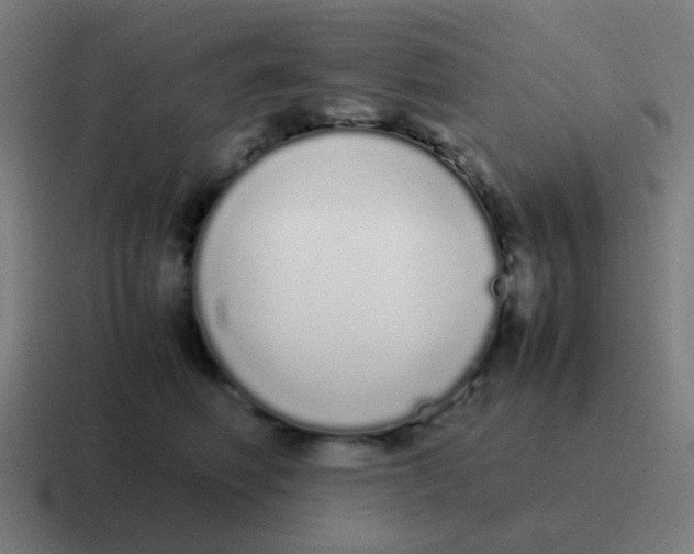 X0000116840614200912312056