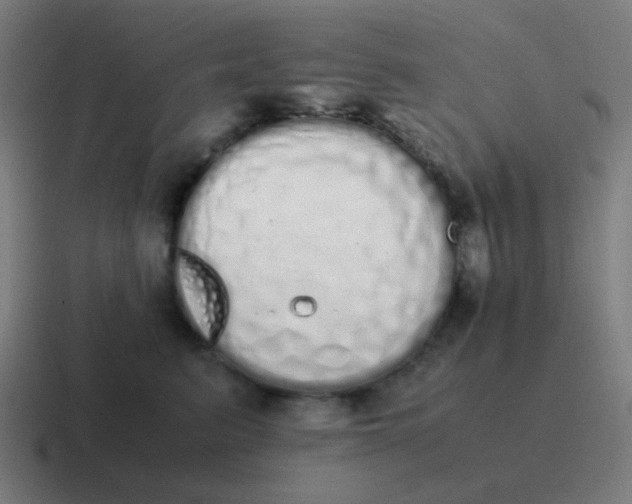 X0000116840615200912312056