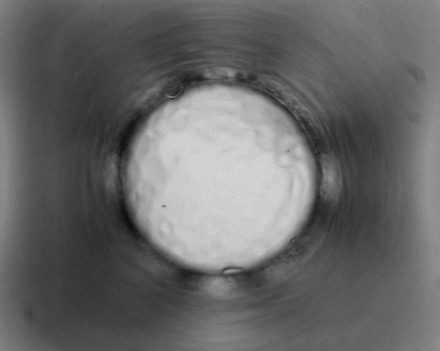 X0000116840616200912312056