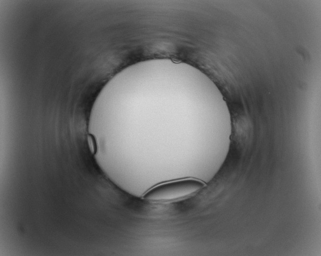 X0000116840617200912312056