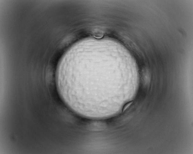 X0000116840619200912312056