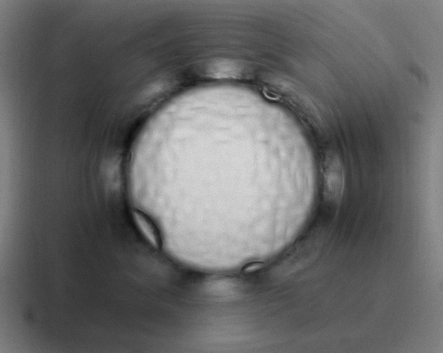 X0000116840620200912312056