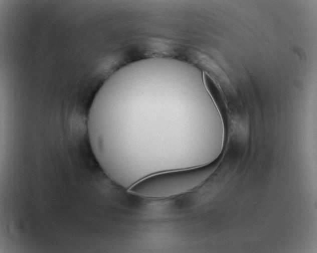 X0000116840621200912312056