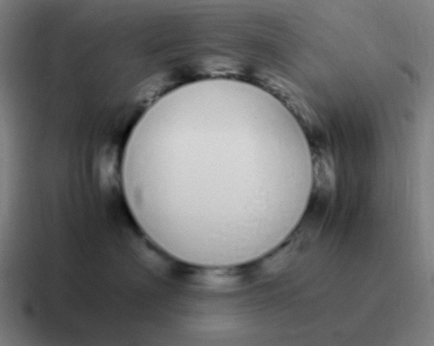 X0000116840622200912312056