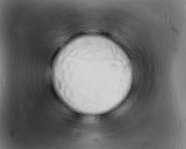 X0000116840624200912312056