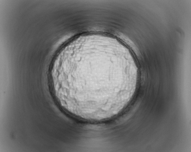 X0000116840625200912312055