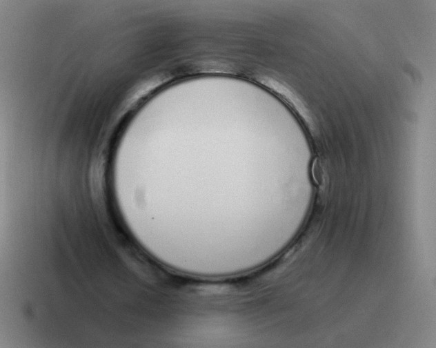 X0000116840626200912312055