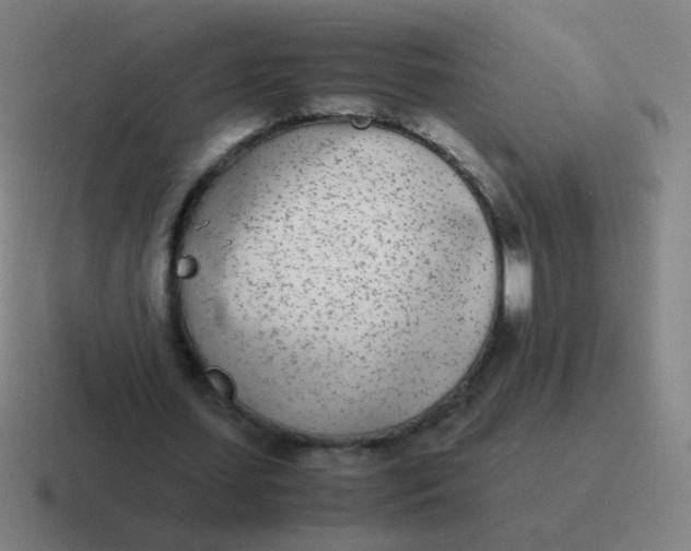 X0000116840627200912312055