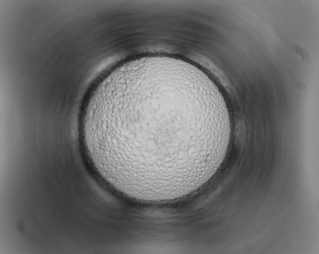 X0000116840629200912312055