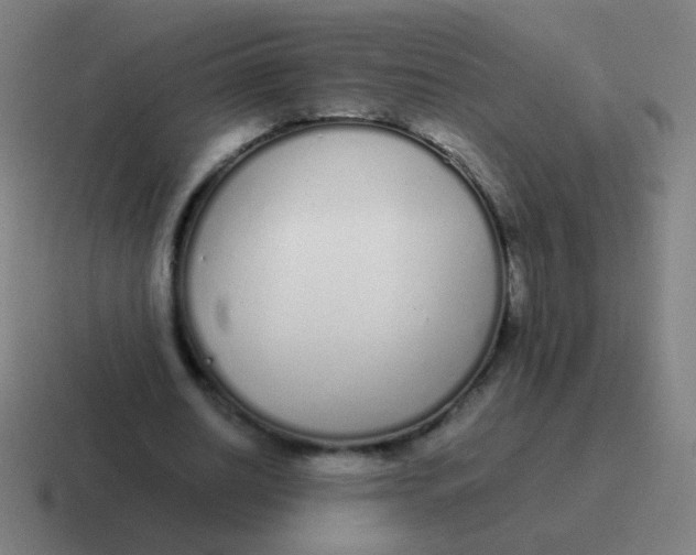 X0000116840630200912312055