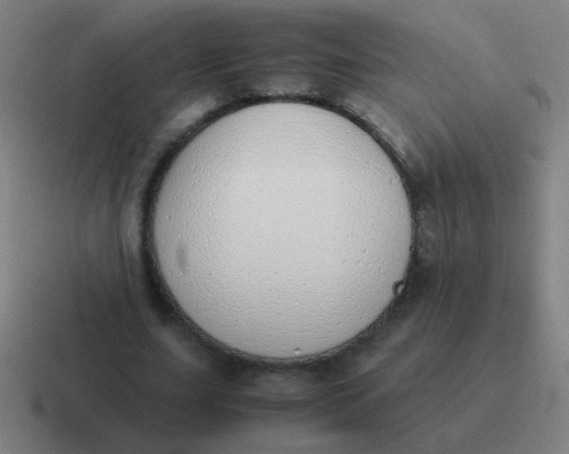 X0000116840631200912312055