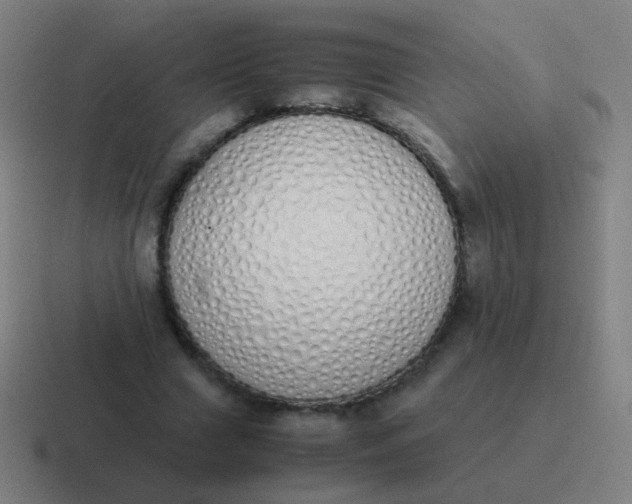 X0000116840633200912312055