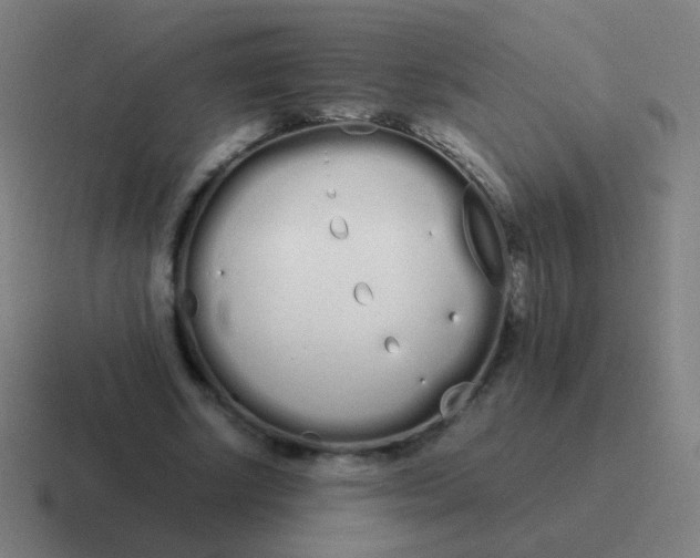 X0000116840634200912312055