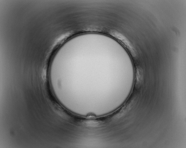 X0000116840636200912312055