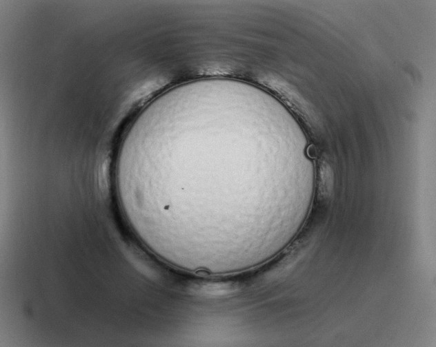 X0000116840638200912312055