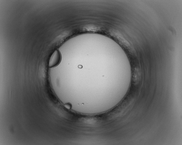 X0000116840639200912312055