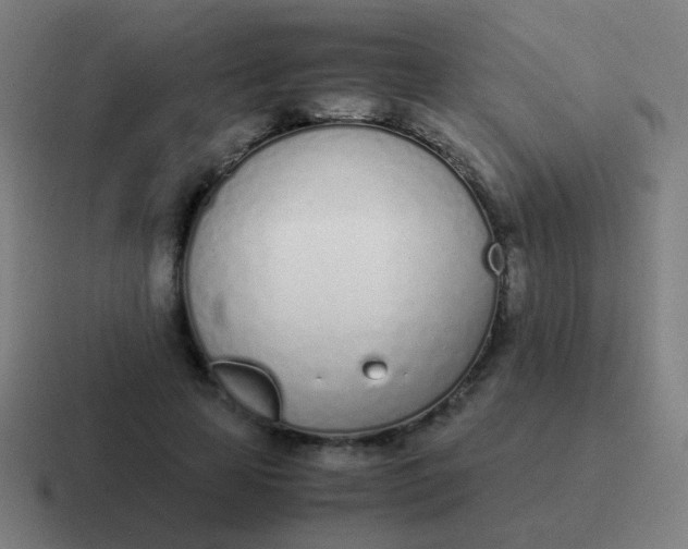 X0000116840641200912312055