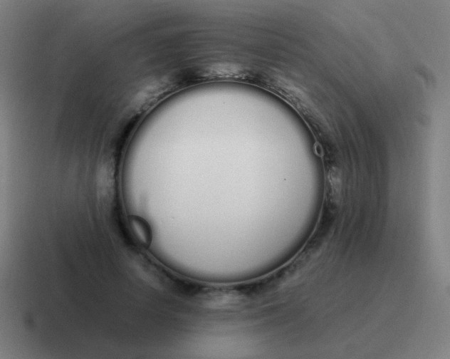 X0000116840642200912312055