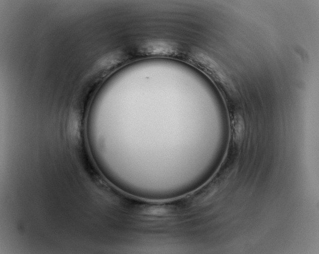 X0000116840643200912312055