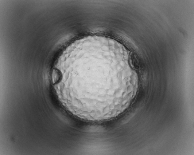 X0000116840644200912312055