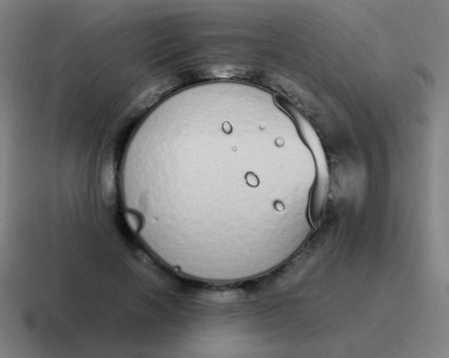 X0000116840646200912312055