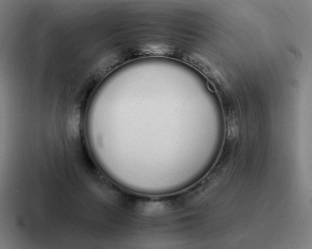 X0000116840647200912312055