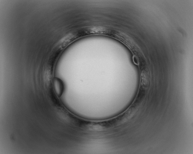 X0000116840648200912312055