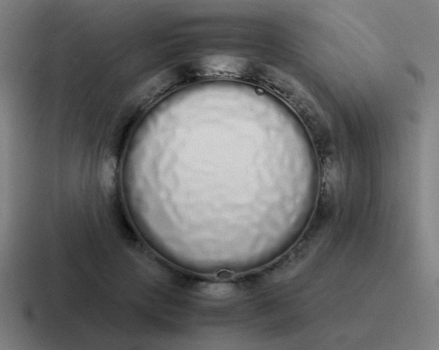 X0000116840649200912312055