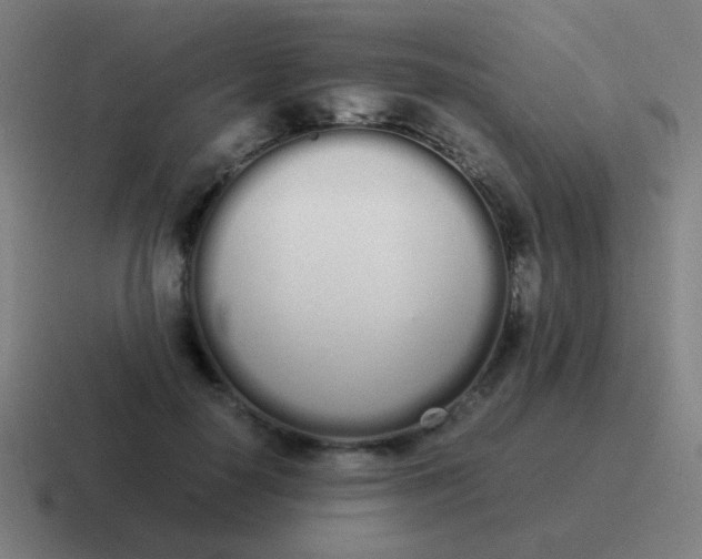 X0000116840650200912312055