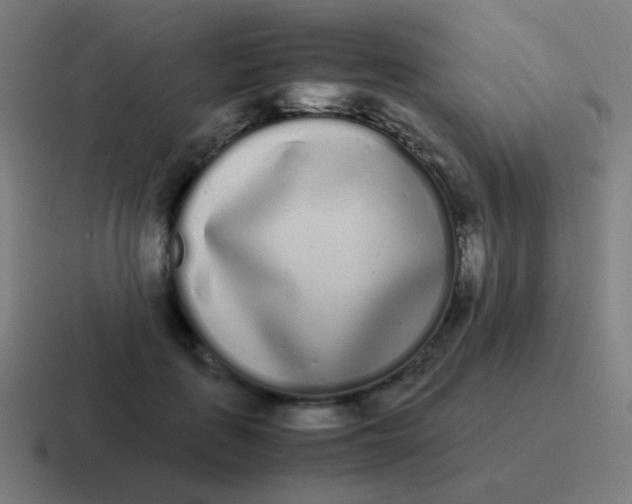 X0000116840651200912312055