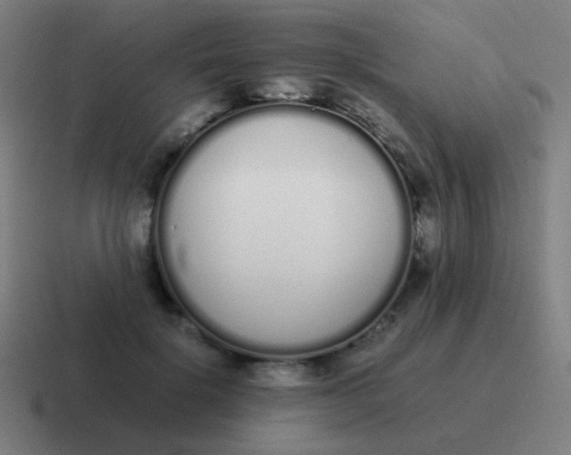 X0000116840652200912312055