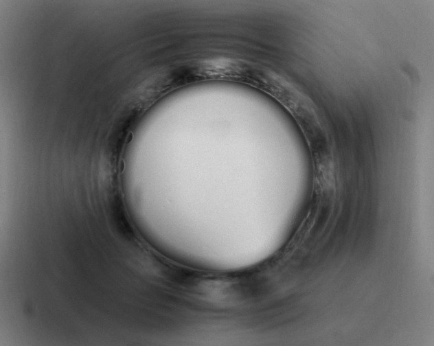 X0000116840653200912312056