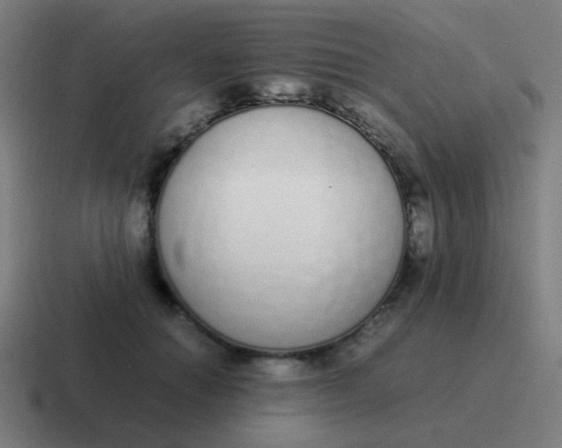 X0000116840654200912312056