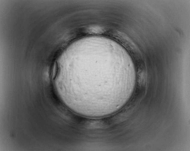 X0000116840655200912312056