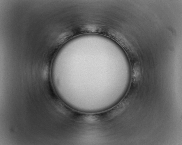 X0000116840656200912312056