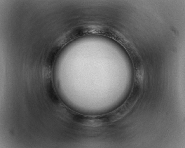 X0000116840657200912312056