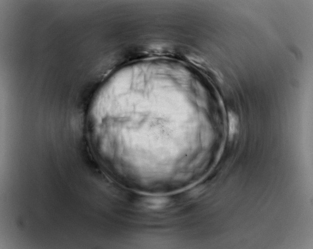 X0000116840659200912312056