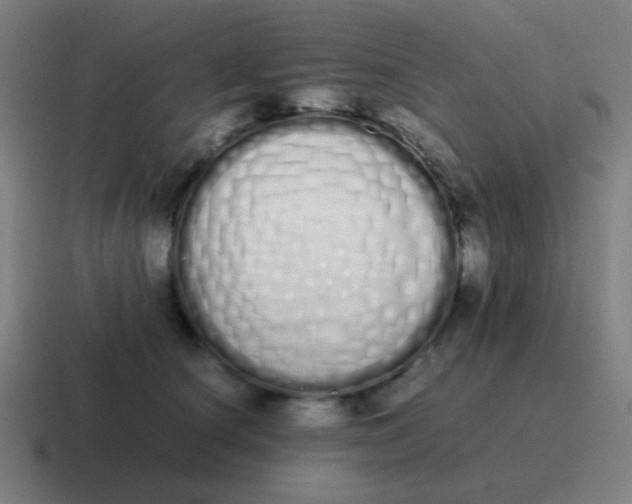 X0000116840660200912312056