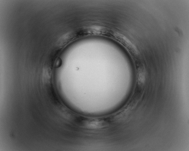 X0000116840661200912312056