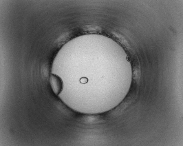 X0000116840662200912312056